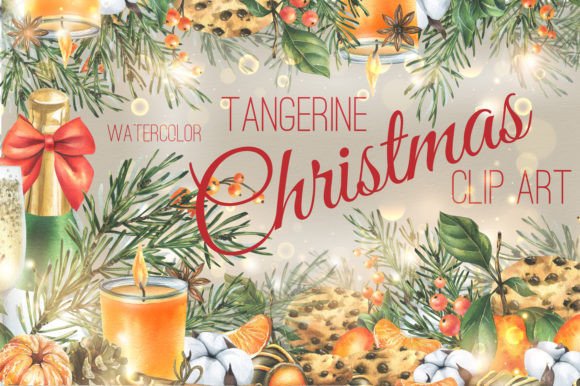 Tangerine Christmas Watercolor Clip Art & Illustrations Review